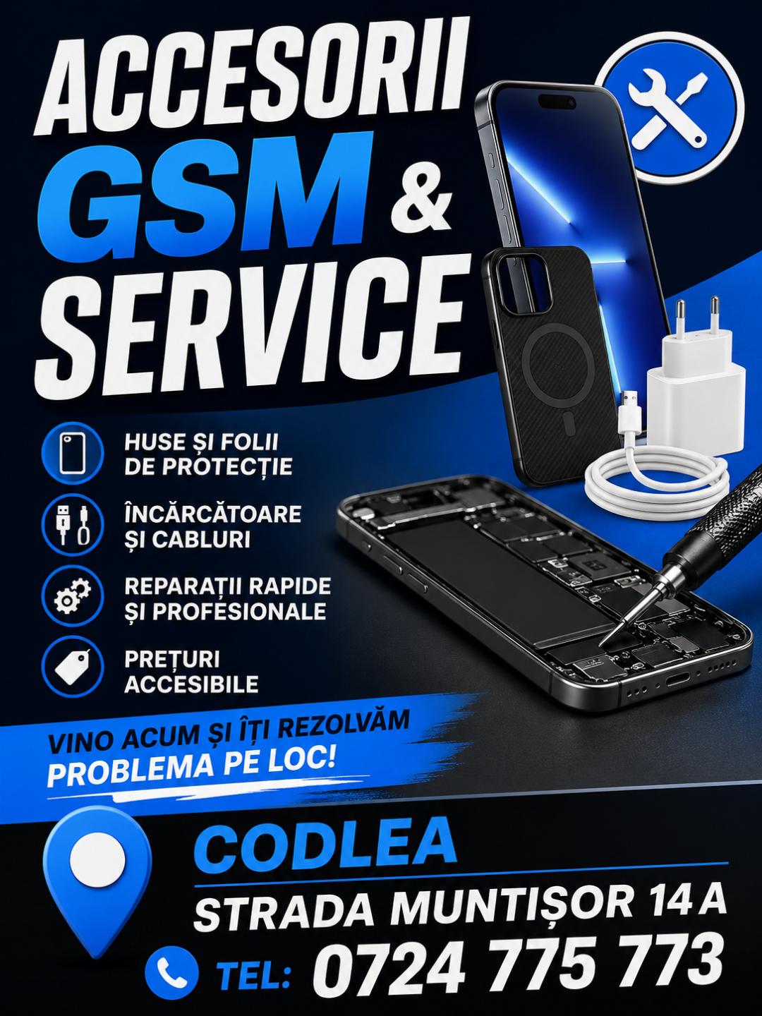Accesorii GSM Service